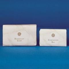 Dial Deodorant Soap, 1000/#3/4