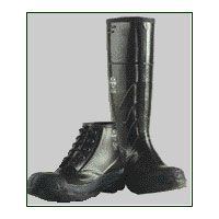 Standard, 6" Work shoe/steel toe, Size 7