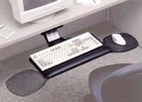 Ergonomic Advantage--Dual Mousing Platform with Budget Arm