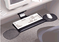 Ergonomic Advantage w/ Budget Arm